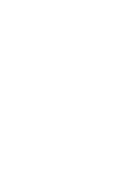 Travis Stone
